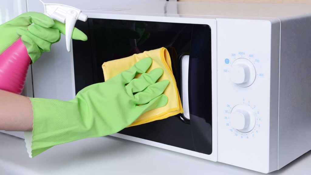 Clean and Get Rid of Cockroaches and Bugs in Microwave Bug Wisdoms